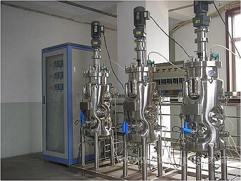2025年澳门原料免费网大全