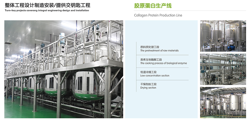 2025年澳门原料免费网大全